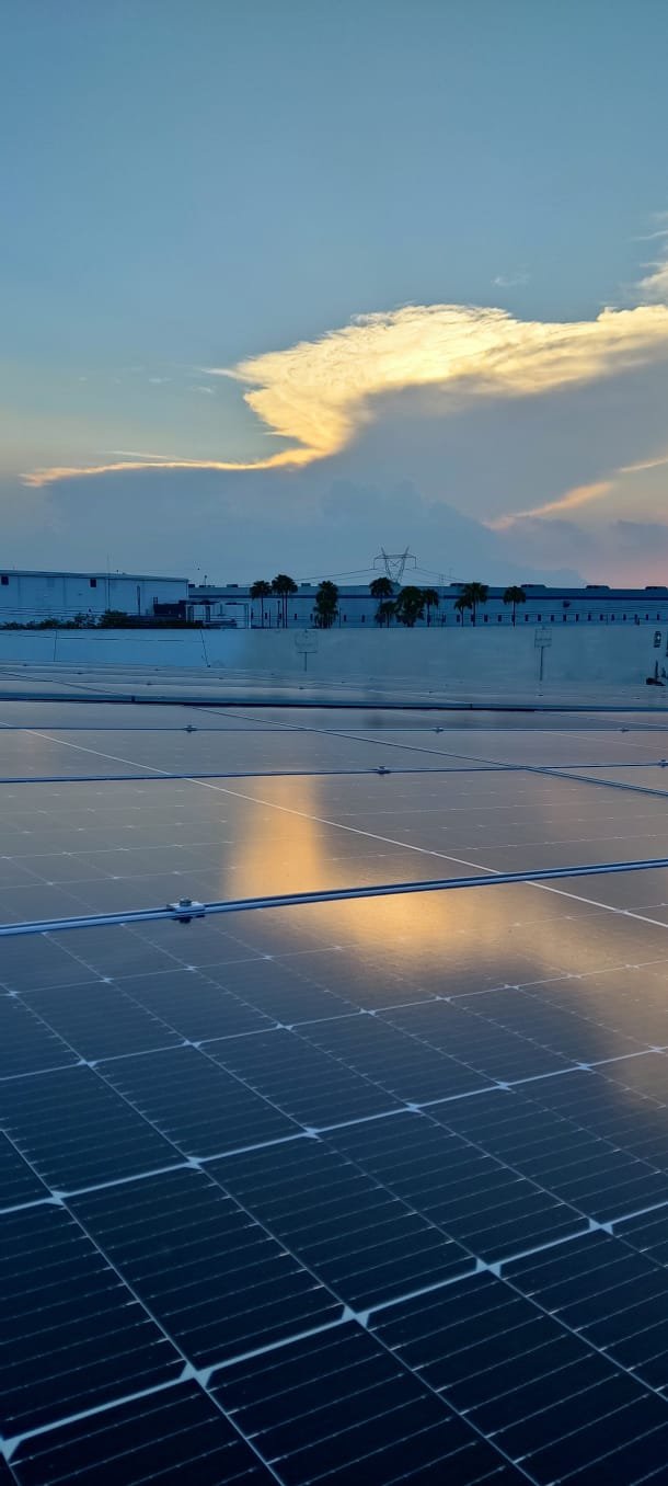 Paneles solares de ARPER Energy al atardecer con cielo nublado